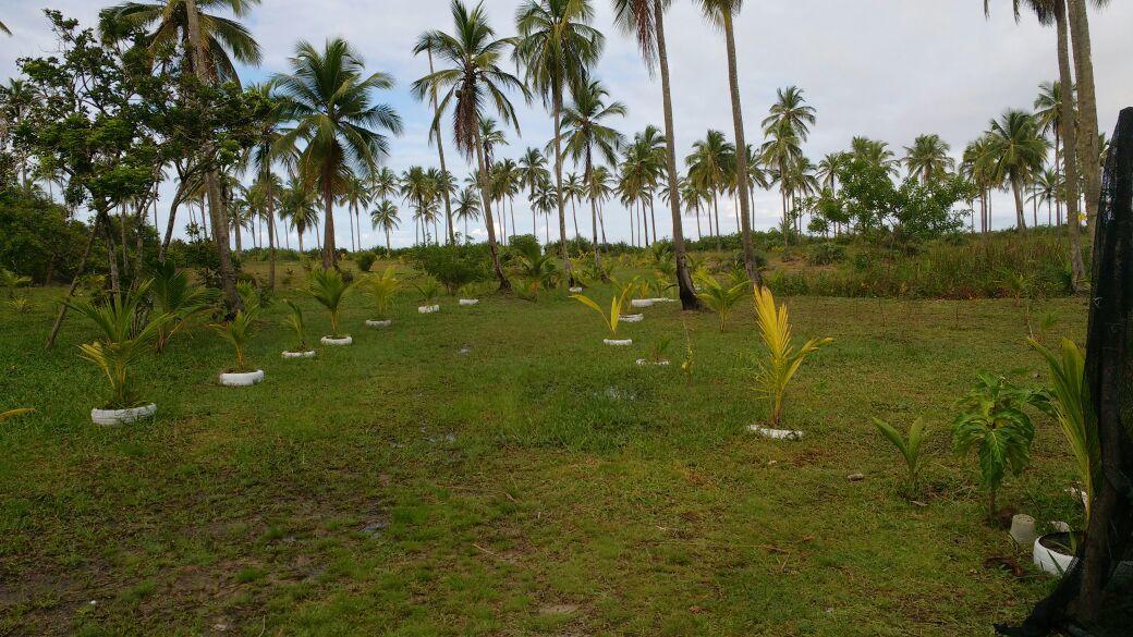 Cantinho Da Paz イリェウス エクステリア 写真